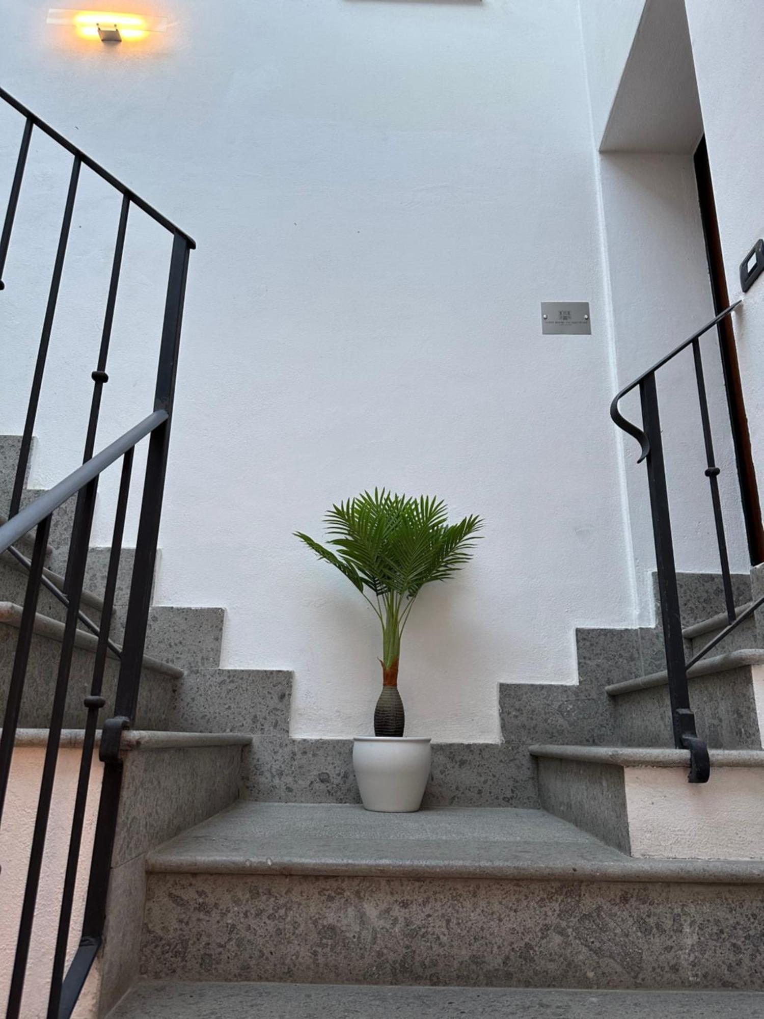Guest House Palazzo Bussi Viterbo Dış mekan fotoğraf