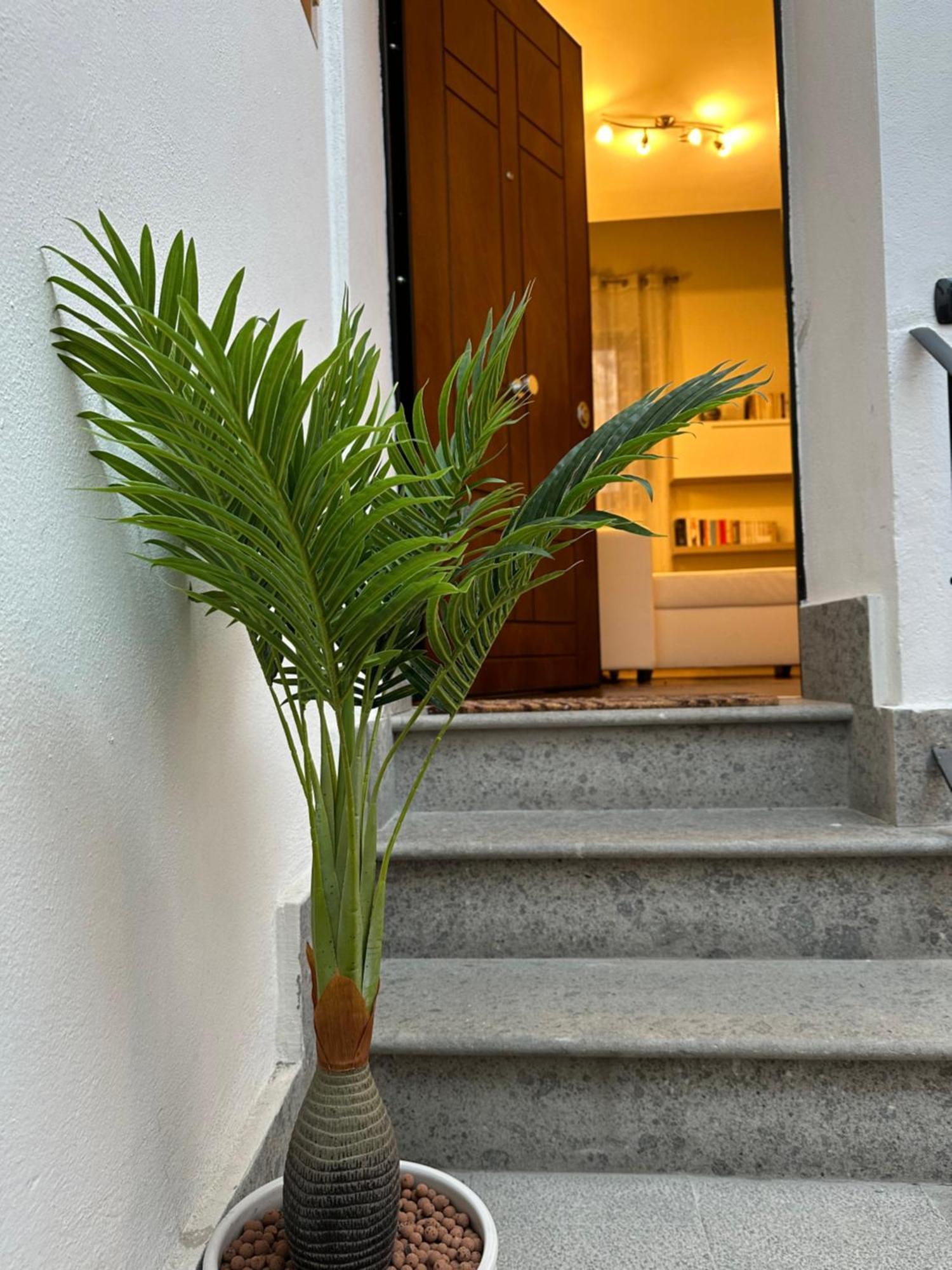 Guest House Palazzo Bussi Viterbo Dış mekan fotoğraf